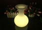Wieder aufladbare Blumen-Töpfe des Beleuchtungs-Vasen-LED für Tafelservice, 16 Farbändern fournisseur