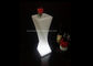 Fernsteuerungs-LED-Blumen-Töpfe batteriebetriebene enthaltene Lampe RGB LED fournisseur